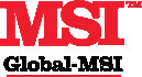 Global MSI Sp. z o.o.